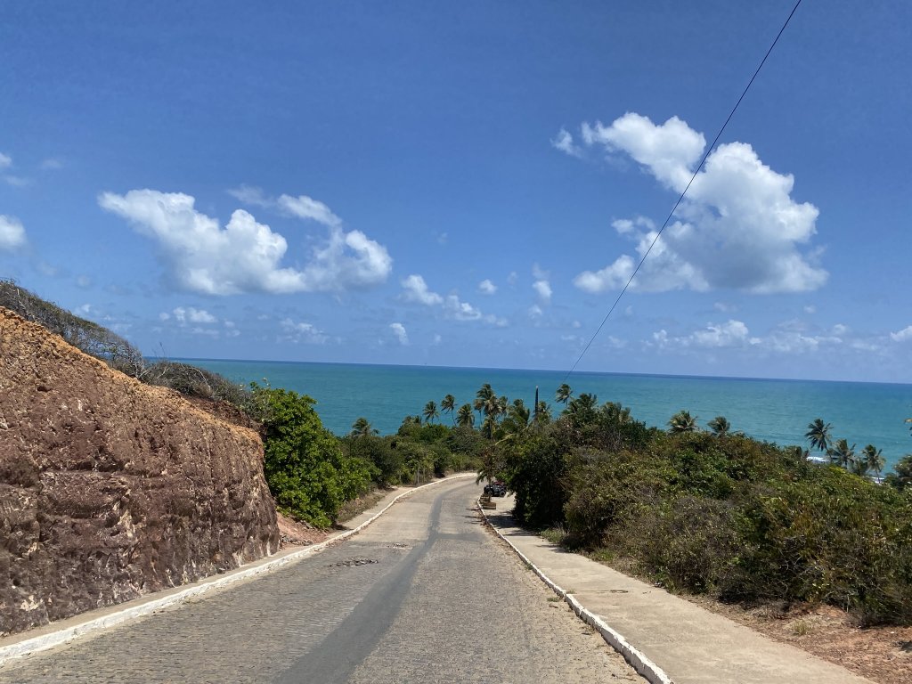 Straße mit Palmen und Büschen, am Ende leuchtet das türkis- und azurblaue Meer des Praia de Coqueirinho.
