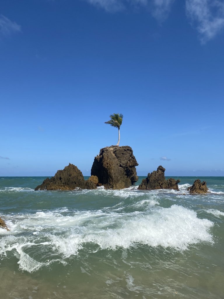 Die berühmte Palme auf dem Felsen im Meer von Tambaba, umgeben von türkisblauem Wasser und Wellen, als würde sie der Welt trotzen.