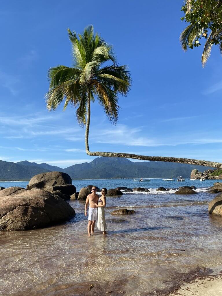 Praia de Palmas auf Ilha Grande – ikonische Palme, die fast waagerecht ins Meer wächst