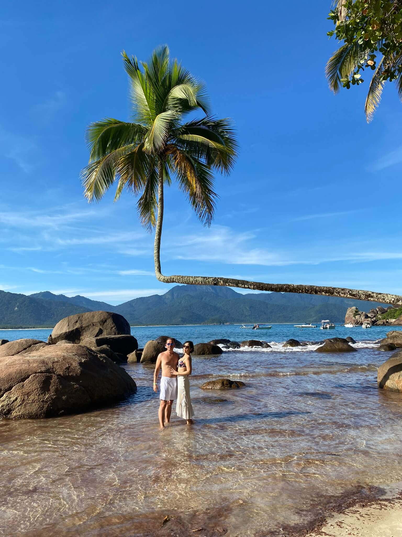 Praia de Palmas auf Ilha Grande – ikonische Palme, die fast waagerecht ins Meer wächst