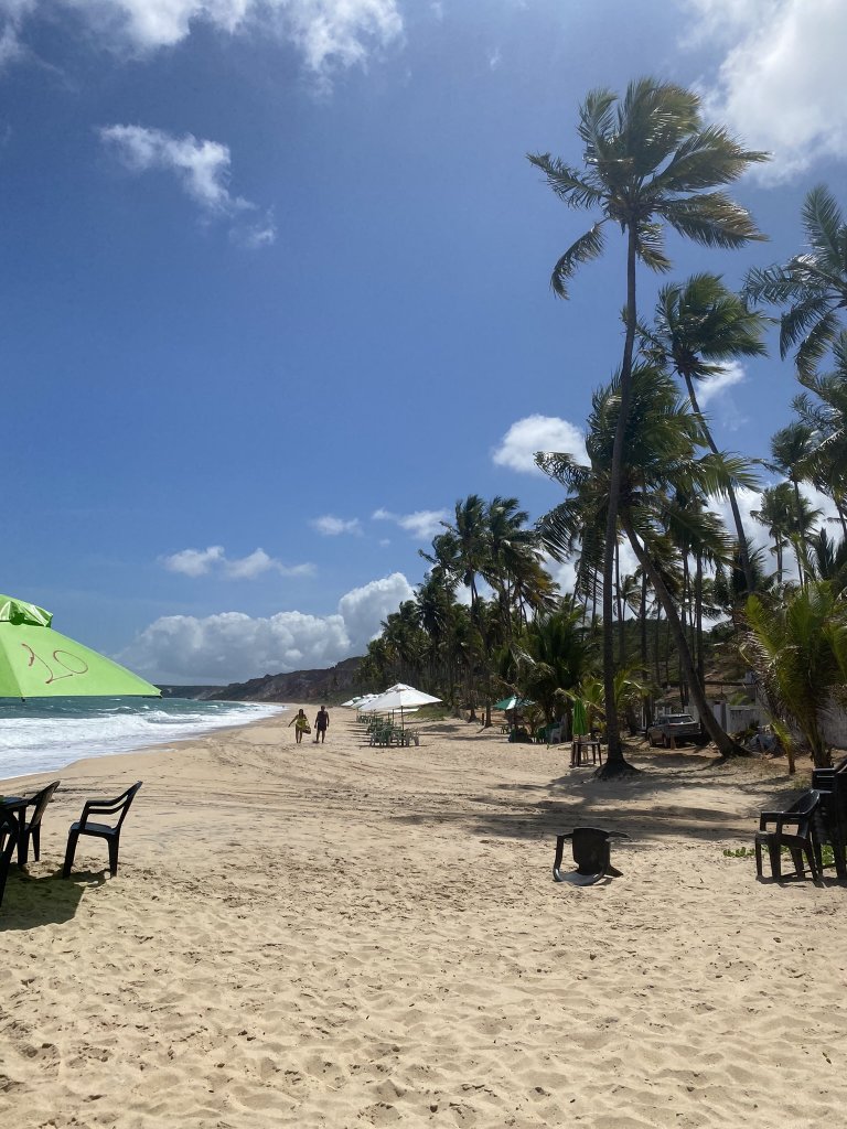 Sandstrand von Coqueirinho mit vielen Palmen, links das Meer, Stühle und bunte Sonnenschirme für die Gäste.