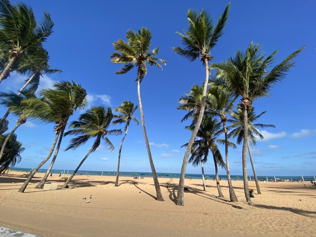 Strandpromenade in João Pessoa mit Palmen, Sand und Meer unter stahlblauem Himmel