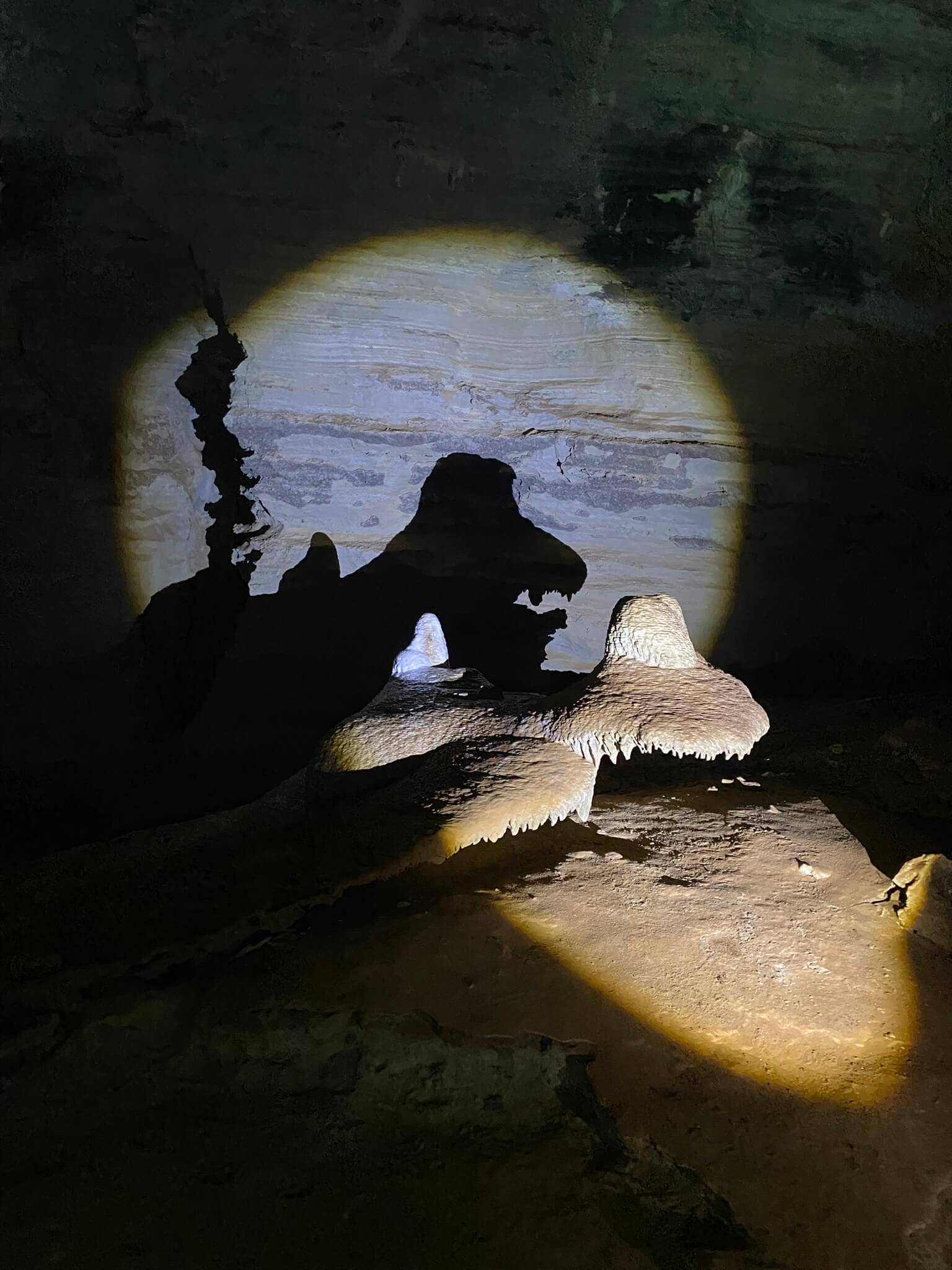 Gruta da Lapa Doce – Steinformation mit Stalaktiten, im Taschenlampenlicht als Dino-Schatten sichtbar