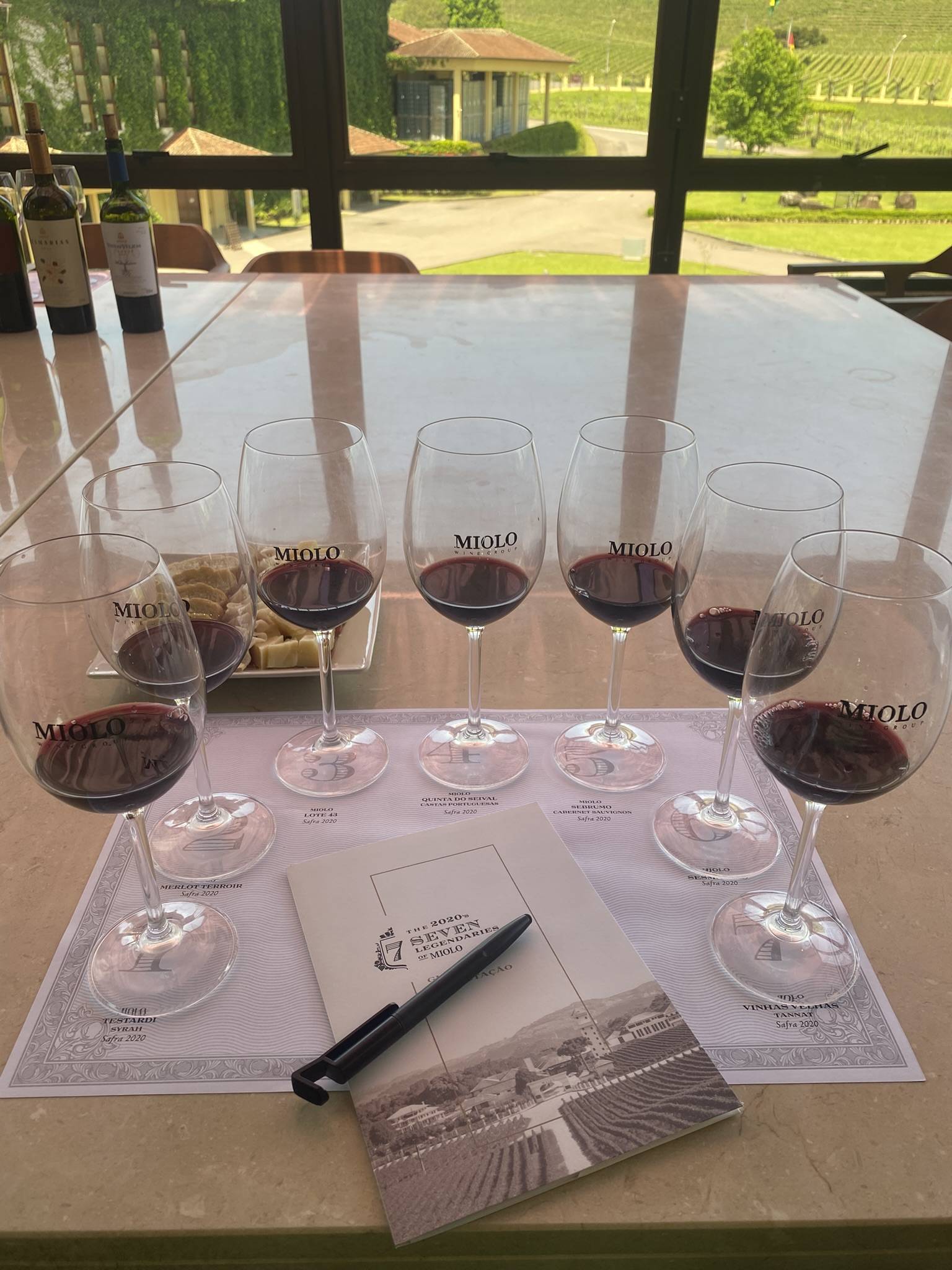 Weintasting in der Miolo Winery, Bento Gonçalves – sieben Gläser mit Wein auf einem Tisch, Blick durchs Fenster auf das Weingut